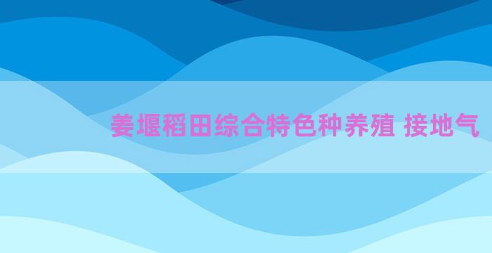 姜堰稻田综合特色种养殖 接地气